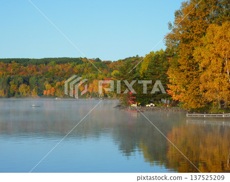 秋葉靜靜地倒映在湖面上。 137525209