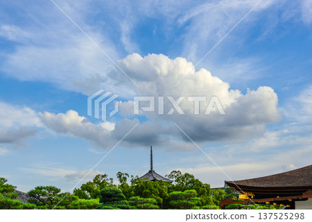 東寺:藍天中的五重塔 東寺:藍天中的五重塔 137525298