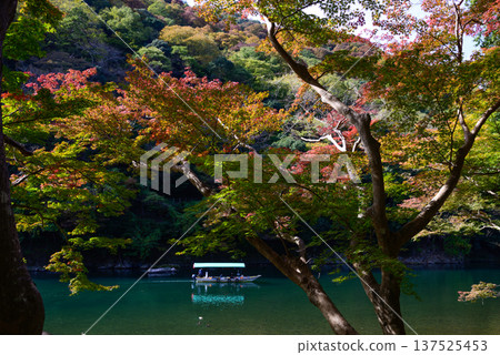 Sagano Arashiyama Katsuragawa（Oyugawa河） 137525453