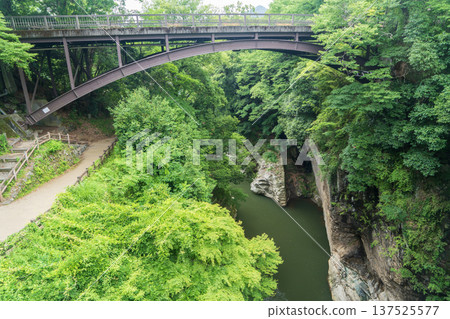 Kai's Shinsarubashi Bridge and Katsura River Valley Kai's Shinsarubashi Bridge and Katsura River Valley 137525577