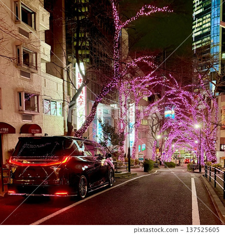 Illuminated city sidewalk at night Illuminated city sidewalk at night 137525605