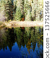 湖面上倒映著森林樹木的景象 137525666