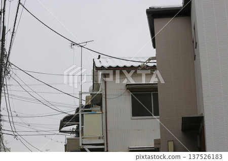 第一場雪 137526183