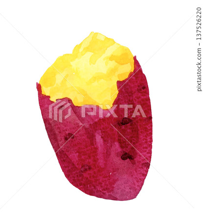 烤地瓜（單件） 手繪水彩蔬菜插圖 137526220