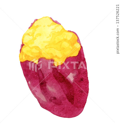 烤地瓜（單件） 手繪水彩蔬菜插圖 137526221