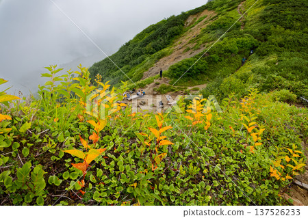 Climbers at Yumori Norikoshi in the cloud-filled Northern Alps 137526233