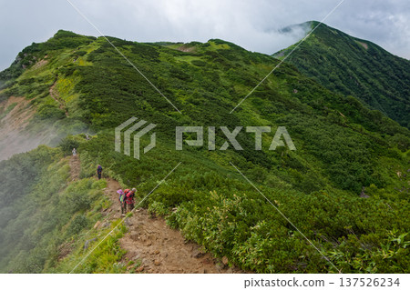 登山者們沿著雲霧繚繞的北阿爾卑斯山脈的湯森山山脊行走 137526234