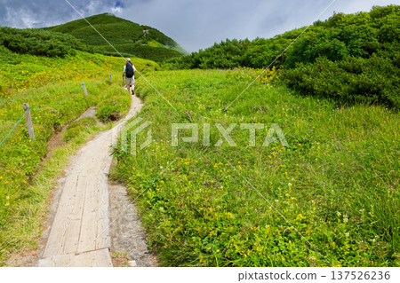 北阿爾卑斯山脈湯森山山脊上的花田,以及前往雙六小屋的登山者 北阿爾卑斯山脈湯森山山脊上的花田,以及前往雙六小屋的登山者 137526236