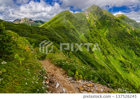 從通往雙六小屋的登山道上可以看到茂澤岳和鷲羽岳。 137526245