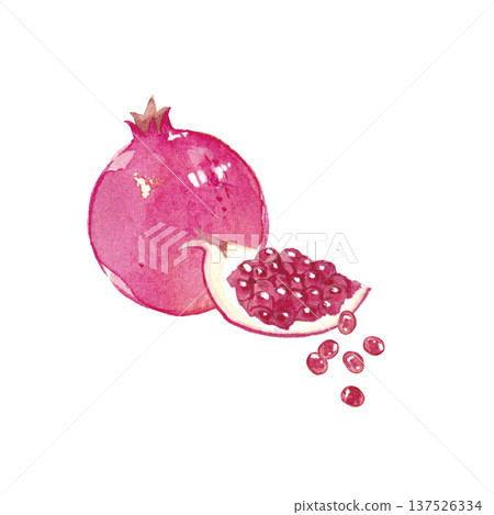 石榴水彩插圖 137526334