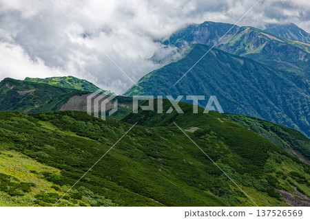 The cloud-filled ridge of Mt. Yumiori seen from Mt. Mozawa in the Northern Alps The cloud-filled ridge of Mt. Yumiori seen from Mt. Mozawa in the Northern Alps 137526569