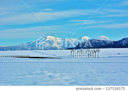 Hasa tree of snowy field · Echigo Miyama snow scene Hasa tree of snowy field · Echigo Miyama snow scene 137526575