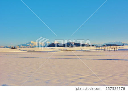 雪域的哈薩樹·越後Miyama雪景 雪域的哈薩樹·越後Miyama雪景 137526576
