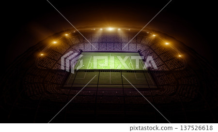 The stadium	 137526618