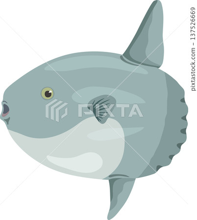 Sunfish 137526669