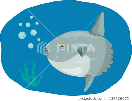 背景的翻車魚 背景的翻車魚 137526675