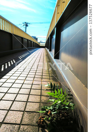 Scenery of a dilapidated pedestrian bridge Scenery of a dilapidated pedestrian bridge 137526677