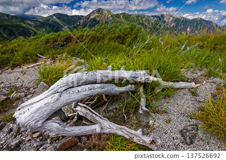 從北阿爾卑斯山脈的毛澤山眺望鷲羽山、總武山和真砂山 從北阿爾卑斯山脈的毛澤山眺望鷲羽山、總武山和真砂山 137526692