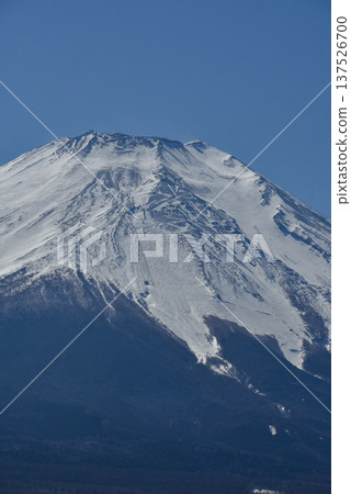 春天富士山白雪皚皚,景色壯麗。 春天富士山白雪皚皚,景色壯麗。 137526700