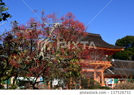 Kamigamo Shrine (Kamobetsu Rai Shrine) Romon (Shingumon) Kamigamo Shrine (Kamobetsu Rai Shrine) Romon (Shingumon) 137526732