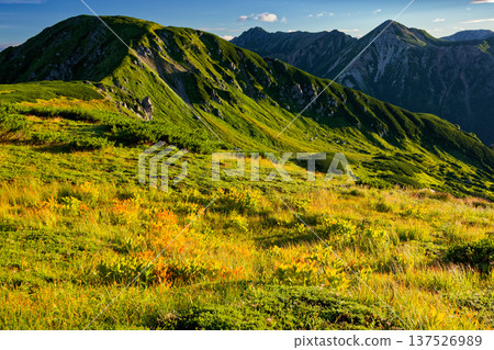 View of Mt. Maruyama, Mt. Washu, and Mt. Suisho from the ridgeline of Mt. Sugoroku in the Northern Alps 137526989