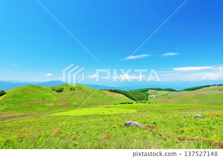 長野縣，藍天下的霧峰，從富士見台眺望 137527148