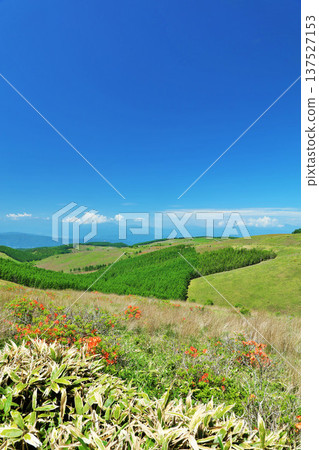 Nagano Prefecture, Kirigamine Highlands under the blue sky Nagano Prefecture, Kirigamine Highlands under the blue sky 137527153