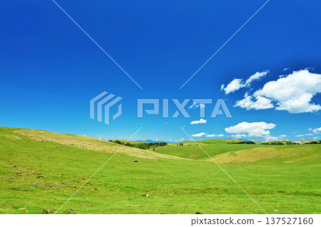 Nagano Prefecture, Utsukushigahara Plateau under the blue sky Nagano Prefecture, Utsukushigahara Plateau under the blue sky 137527160