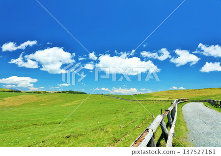 Nagano Prefecture, Utsukushigahara Plateau under the blue sky Nagano Prefecture, Utsukushigahara Plateau under the blue sky 137527161