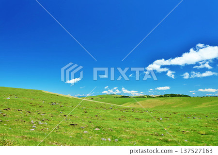 Nagano Prefecture, Utsukushigahara Plateau under the blue sky 137527163