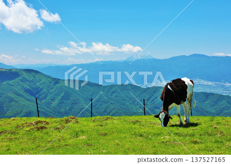 Nagano Prefecture, Utsukushigahara Plateau, blue sky farm scenery Nagano Prefecture, Utsukushigahara Plateau, blue sky farm scenery 137527165