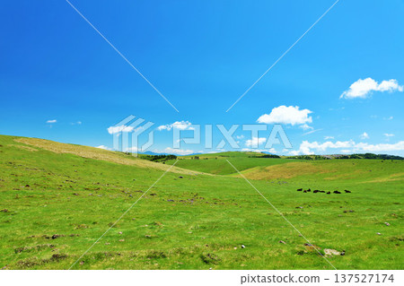 長野縣，藍天下的美原高原 137527174