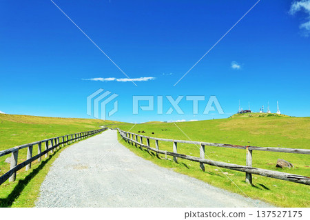 長野縣，藍天下的美原高原 137527175