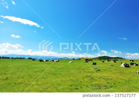 Nagano Prefecture, Utsukushigahara Plateau, blue sky farm scenery Nagano Prefecture, Utsukushigahara Plateau, blue sky farm scenery 137527177