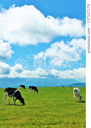 Nagano Prefecture, Utsukushigahara Plateau, blue sky farm scenery 137527179