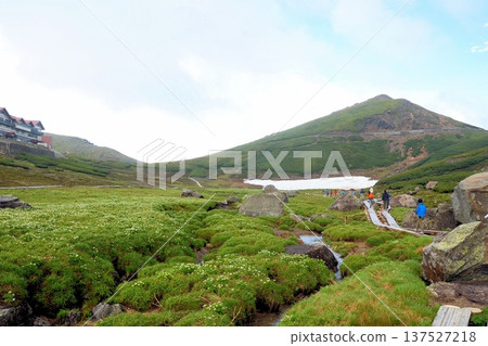 Mount Norikura Tatamidaira 137527218