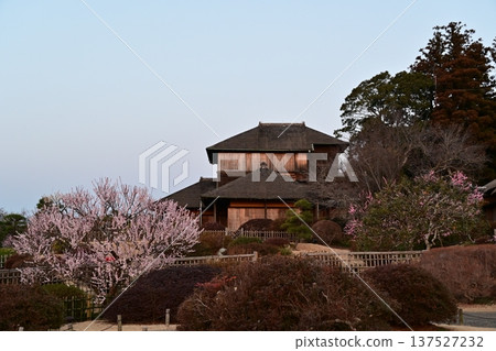 喜樂園，茨城縣水戶市－清晨拍攝的盛開的古文亭和梅花 137527232