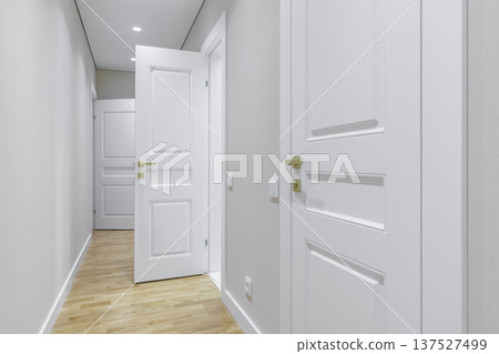 Bright Modern Hallway with White Classic Doors and Gold Handles 137527499