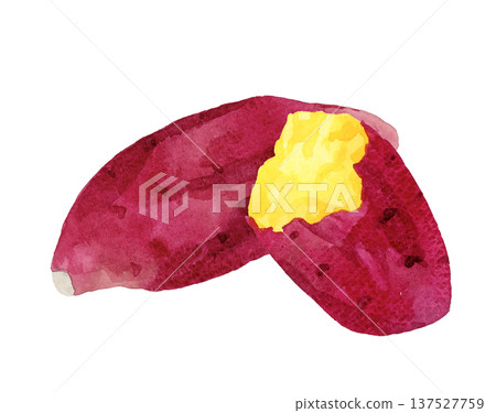 手繪水彩插圖，描繪的是烤地瓜 137527759