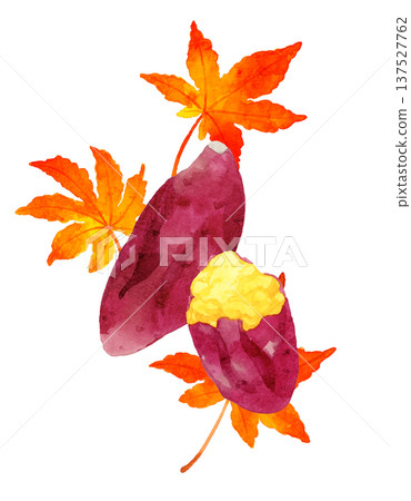 Set of roasted sweet potatoes and autumn leaves - hand-drawn watercolor illustration Set of roasted sweet potatoes and autumn leaves - hand-drawn watercolor illustration 137527762