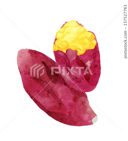 手繪水彩插圖，描繪的是烤地瓜 137527763