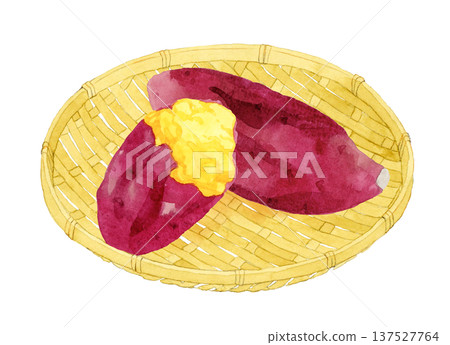竹籃裡的烤地瓜 手繪水彩插圖 137527764