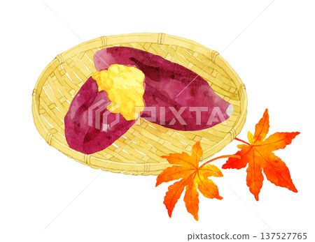 竹籃裡盛著烤地瓜和秋葉。手繪水彩插圖。 137527765