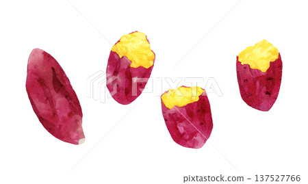 一組烤地瓜－手繪水彩插圖 137527766