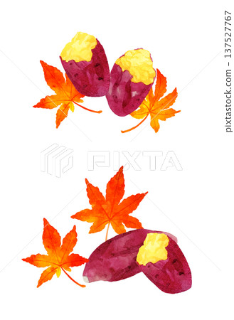 Set of roasted sweet potatoes and autumn leaves - hand-drawn watercolor illustration 137527767