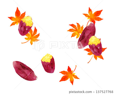 Set of roasted sweet potatoes and autumn leaves - hand-drawn watercolor illustration 137527768
