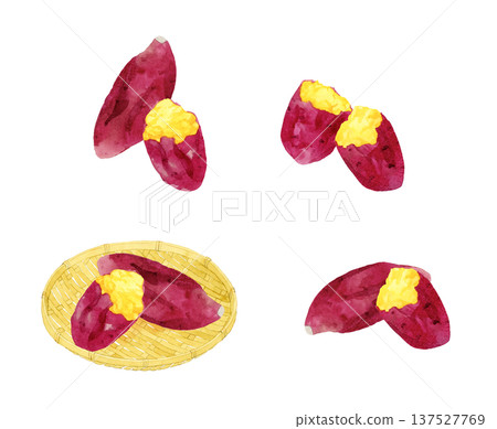 一組烤地瓜－手繪水彩插圖 137527769