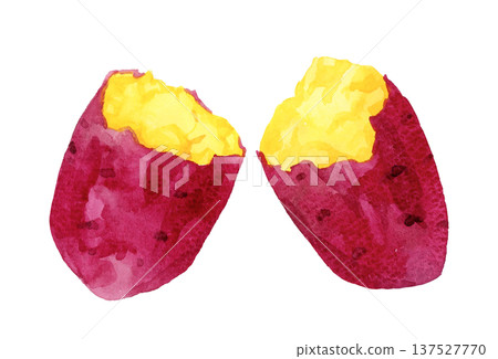 手繪水彩插圖，描繪的是烤地瓜 137527770