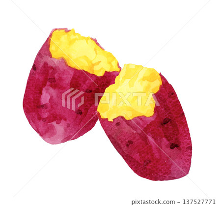手繪水彩插圖，描繪的是烤地瓜 137527771