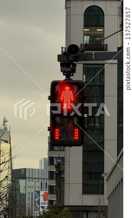 Pedestrian crossing traffic light Pedestrian crossing traffic light 137527857